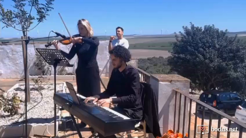 Meri Violinist