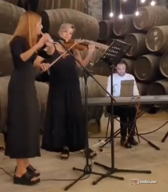 Meri Violinist