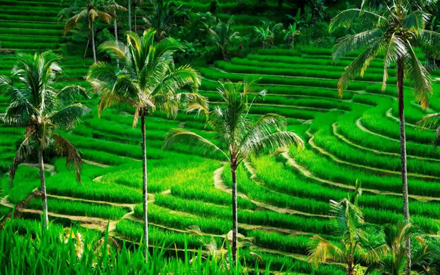 Indonesia