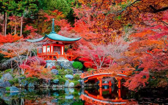 Japón, el país del sol naciente