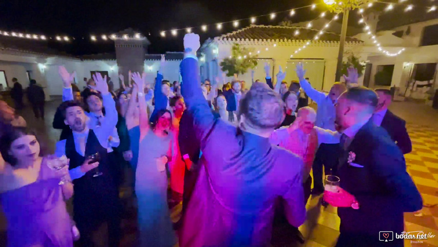 WEDDING PARTY MOVIE