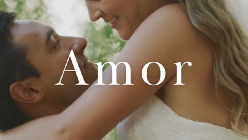Bodas en la masía 