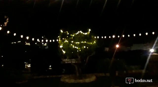 Nueva iluminación de la carpa y jardín 