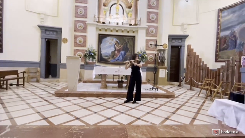 Hallelujah de Leonard Cohen - Aida Escudero, flautista oficial cover