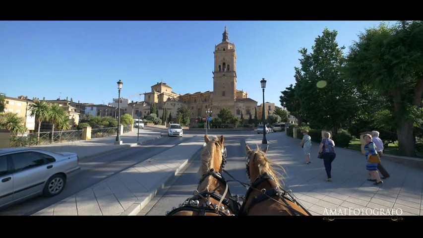 Boda José & Lucía