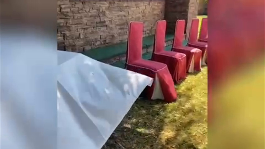 ¡Nos vamos de boda!