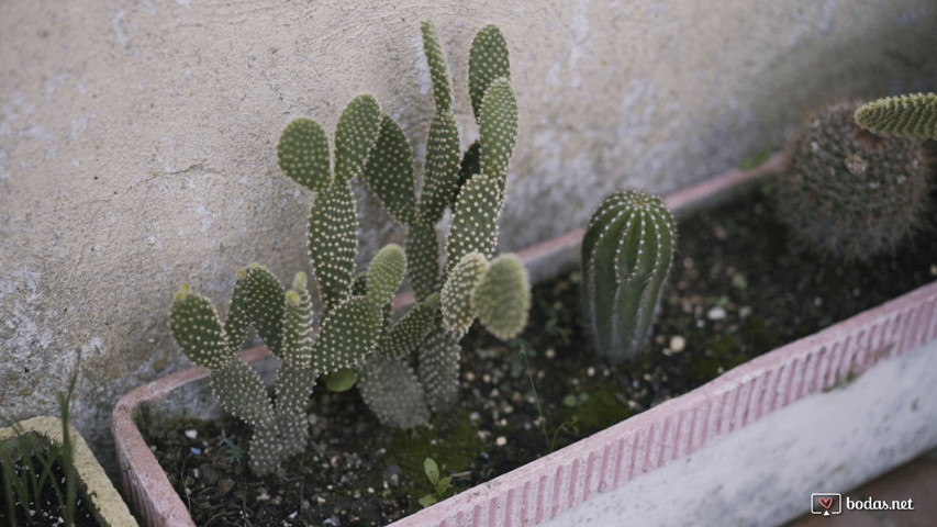 Eloi Simó fotografia
