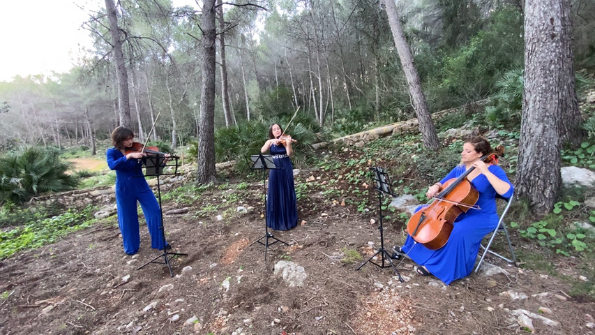 “Can you feel the love tonight” BSO “El rey león”