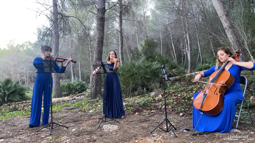 “A thousand years”, Christina Perri