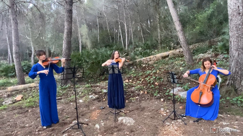 BSO “Braveheart”