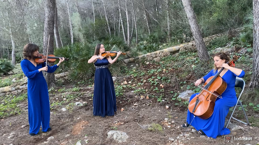 “Canon” , Pachelbel 2