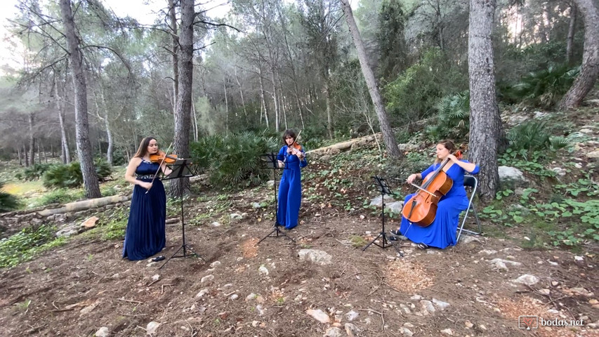 “Can you feel the love tonight” BSO “El rey león” 2