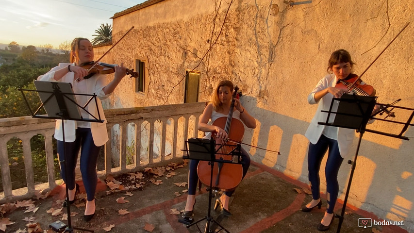 La la land - City of stars