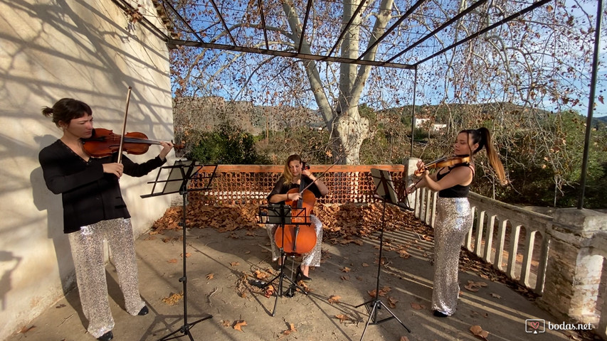 All you need is love - The Beatles