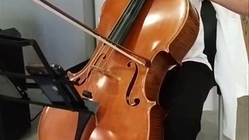 Someone like you -ADELE Cello 