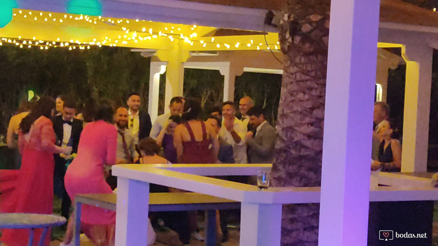 PIO XII mas Bodas