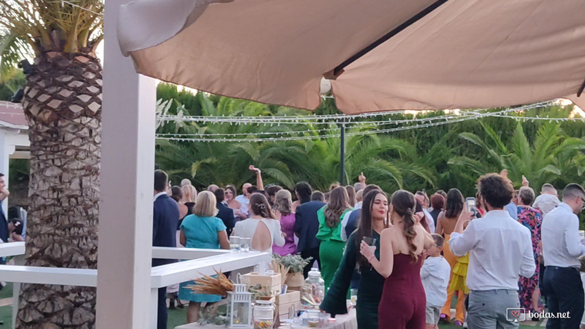 PIO XII Boda al aire libre