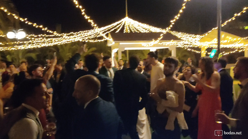 Boda en PIO XII