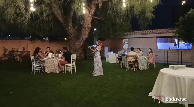 Bodas en Valencia 