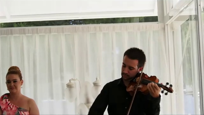 Violín para bodas