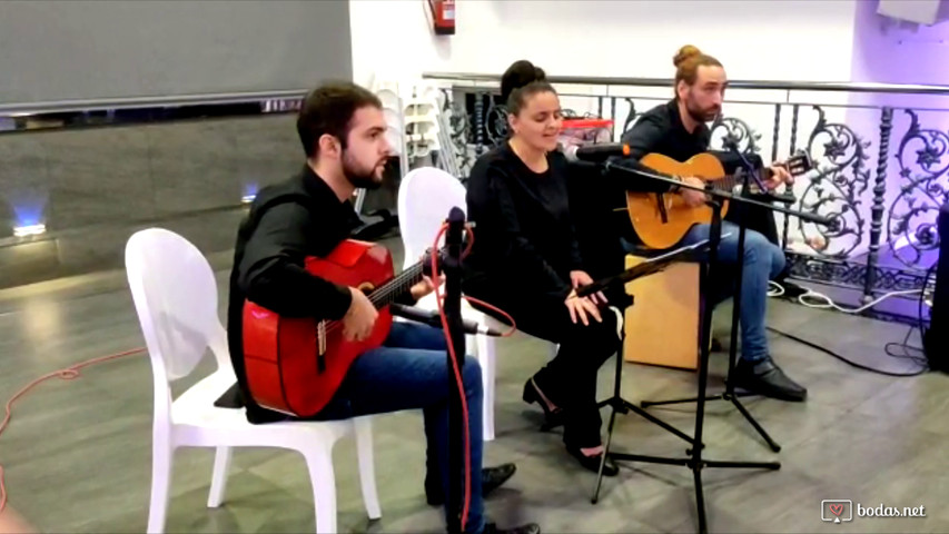 Grupo flamenco