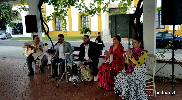 Grupo flamenco con bailaoras