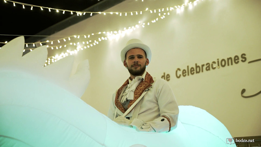 Vídeo de Boda Elegante