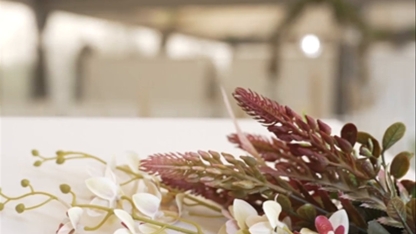 Jaima para Bodas al Aire Libre