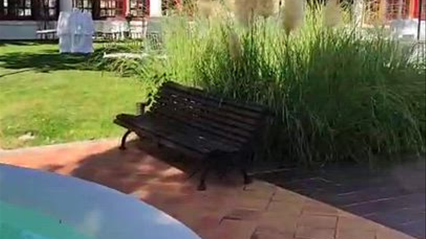 Parador de Albacete 