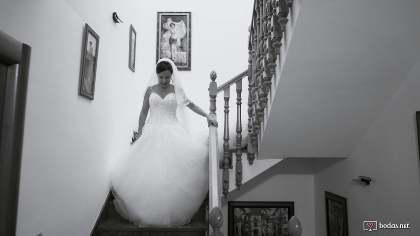 Teaser de Jose&Josefina