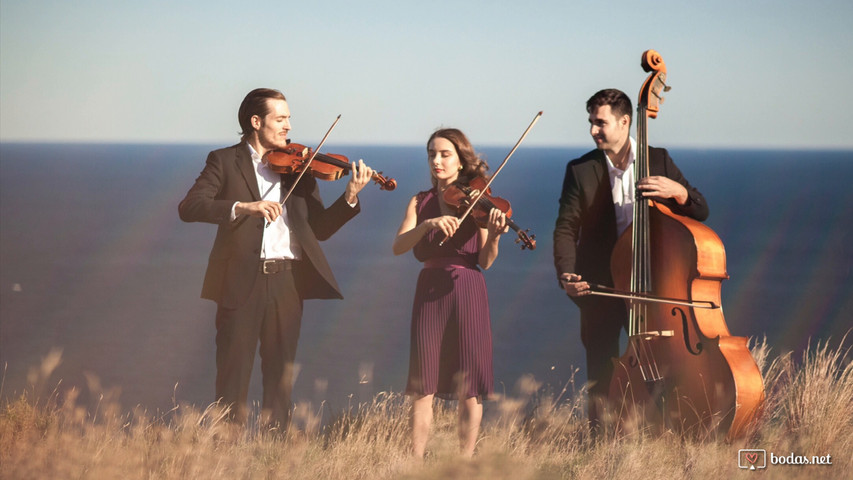 Perfect - Maryna Pop & Trio Concuerda