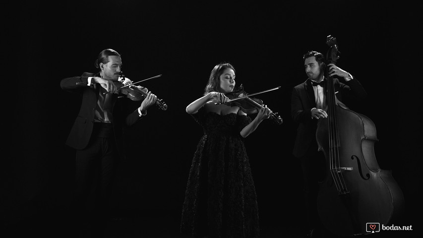 I'm Not The Only One - Trio Concuerda