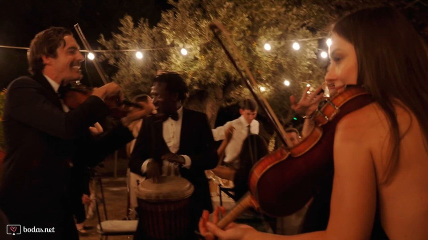 Dinner Show String Band 