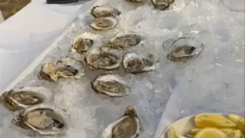 Bar de ostras