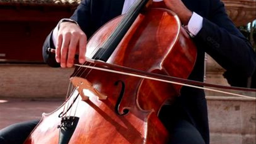 Can't Help Falling In Love 😍🎻