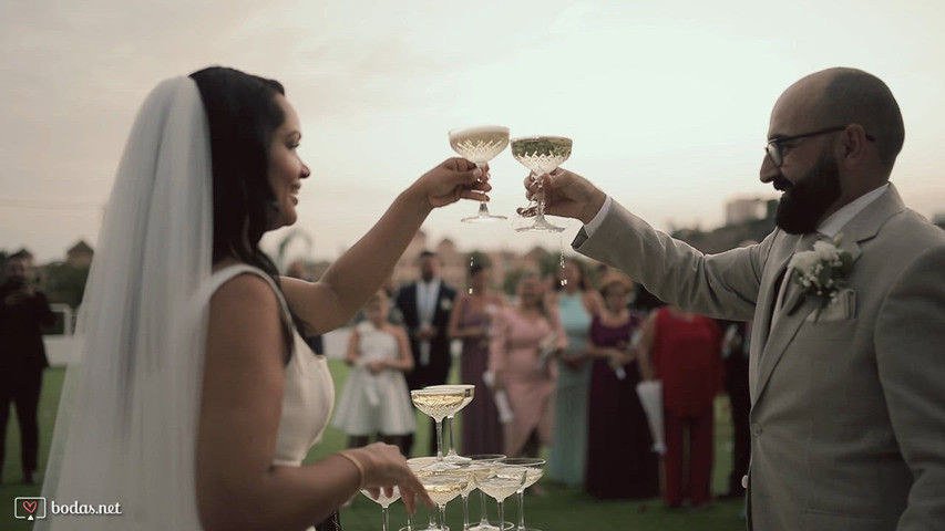 Resumen del Cóctel: David & Fernanda