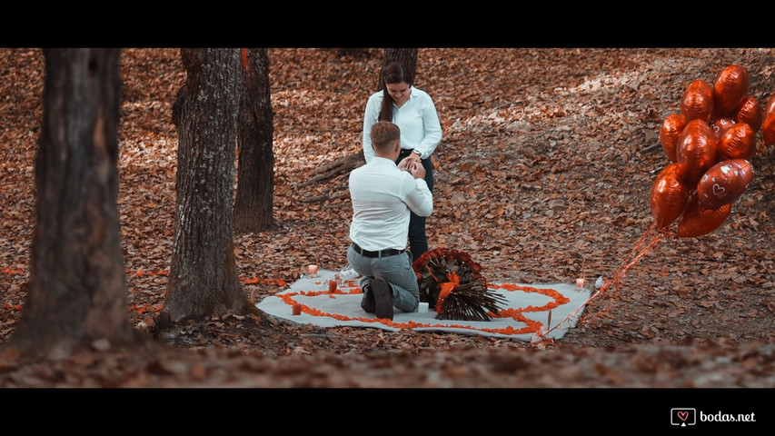 Vasile & Camelia - Proposal