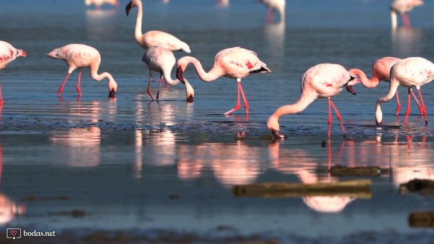 Kenia