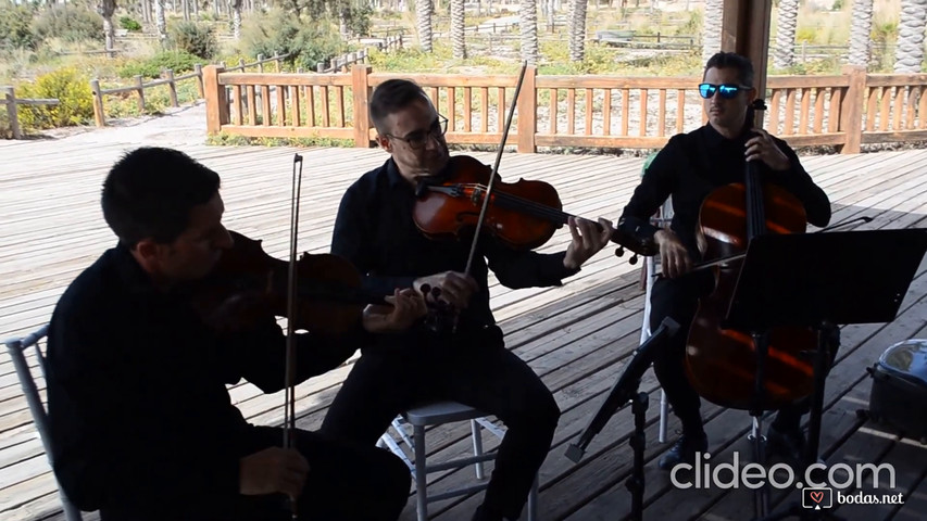 Canon de pachelbel trio live wedding