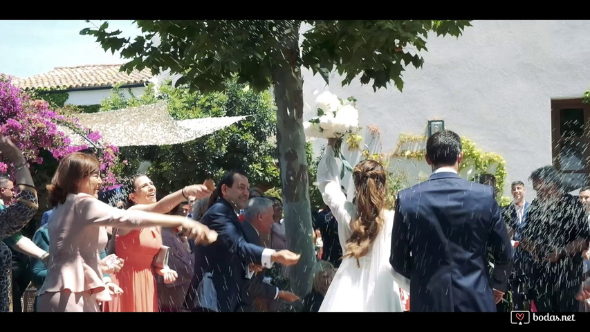 ALBA + RAÚL