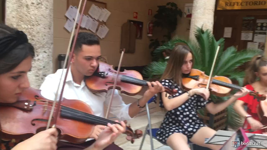 Quinteto de cuerda 