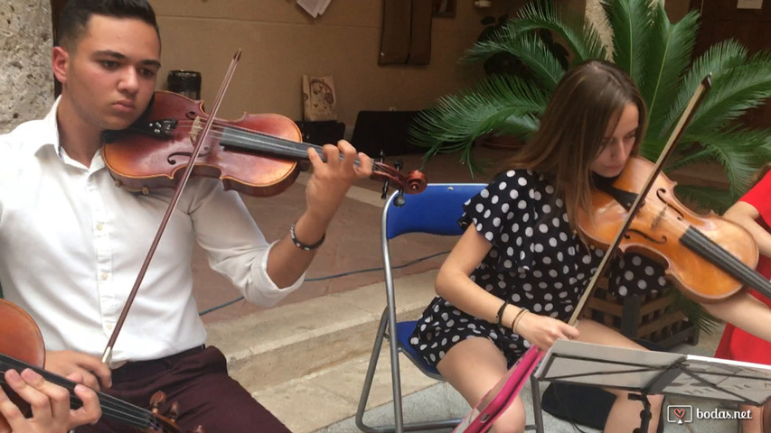 Dúo Violínpia + 3 instrumentos de cuerda