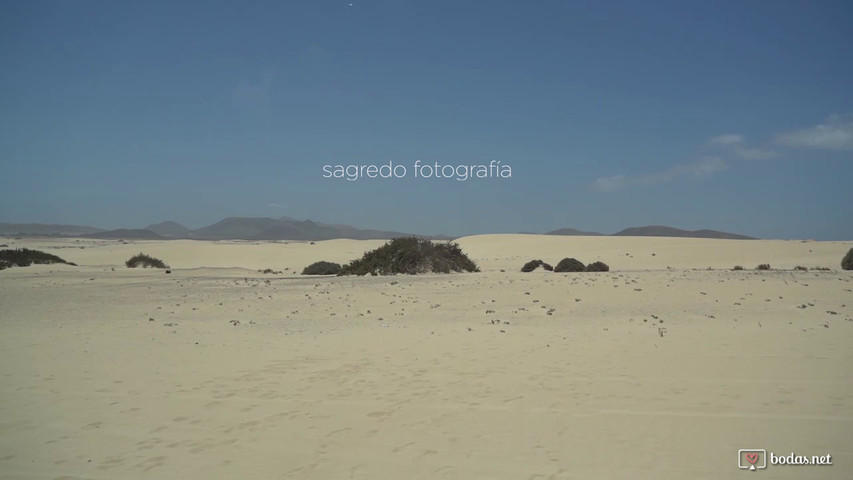 Trailer móvil