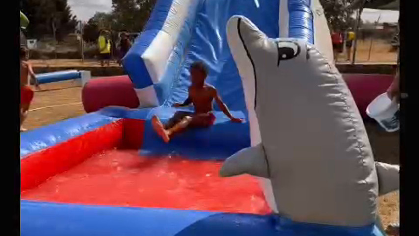 Tobogan delfin agua 