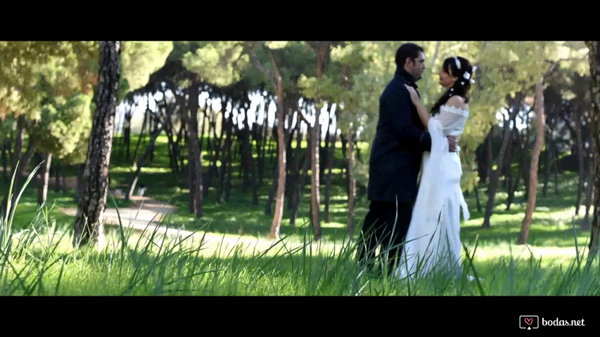 Videoclip de la boda de Ari y David versión redes sociales 