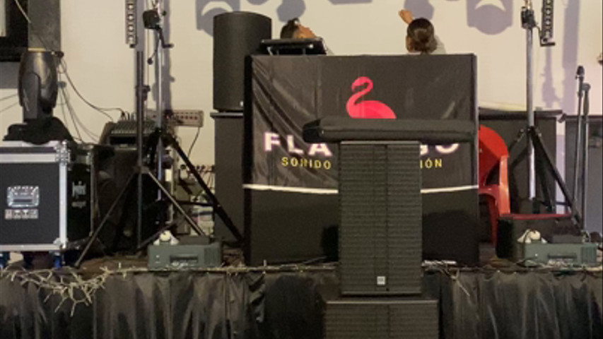 Flamingo Sound Light