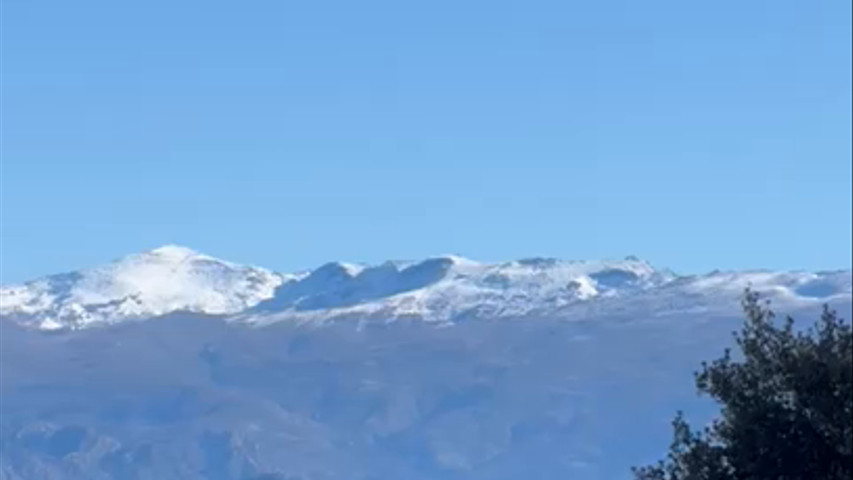 Vistas desde la finca