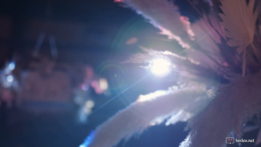 Teaser - I&M