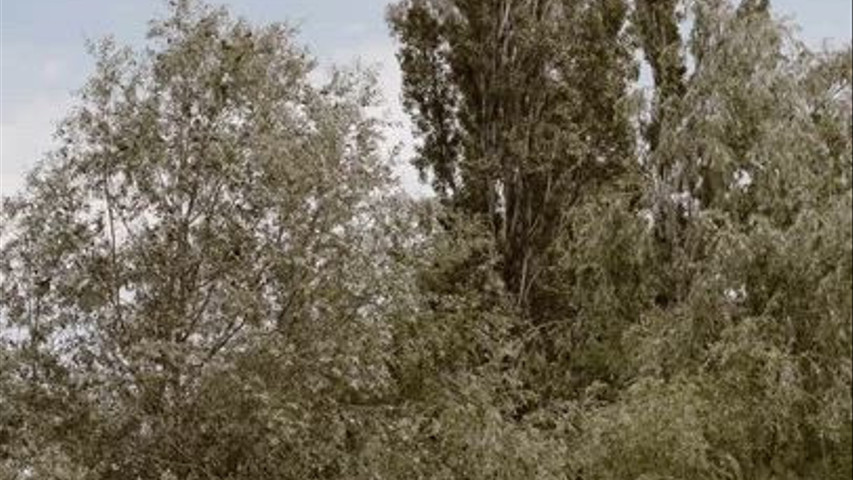 La Farinera Sant Lluís