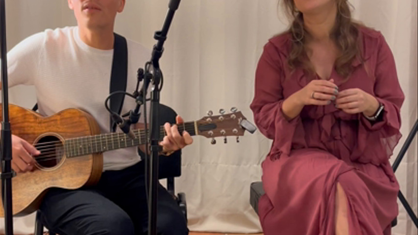 Something Stupid (en directo)